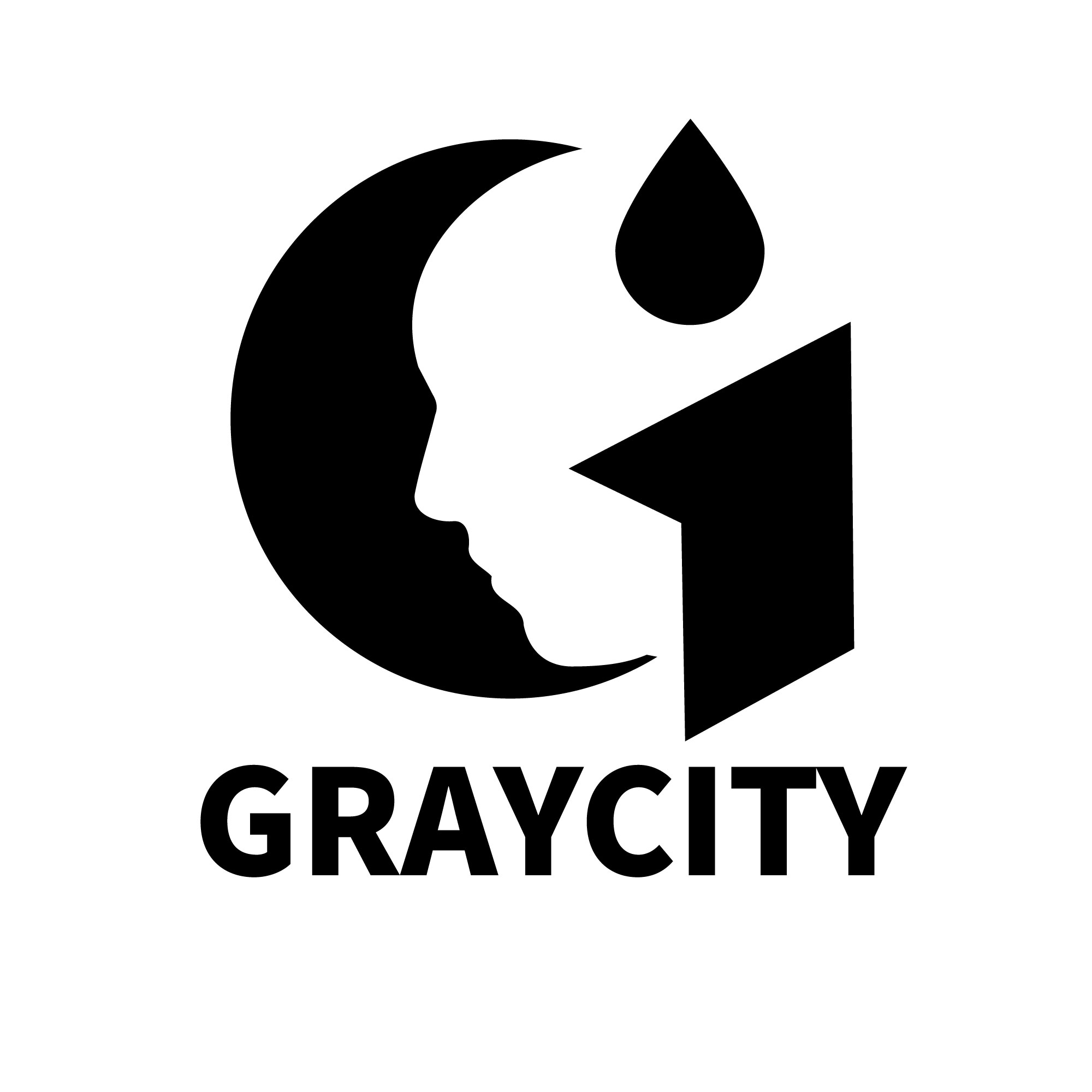 주식회사 그레이시티